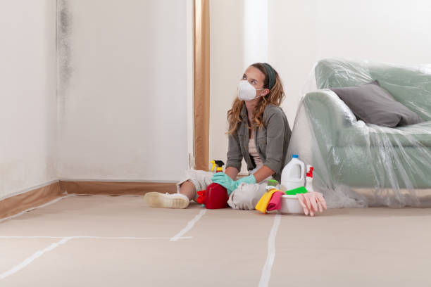 Reliable Basement Mold Remediation contractor in Freeport, TX by Mold Remediation HQ